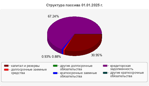 Структура пассива 01.01.2025 г.