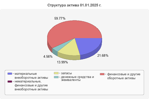 Структура актива 01.01.2025 г.