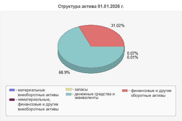 Структура актива 01.01.2026 г.